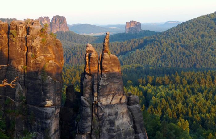 WALD-NATUR bei Caspar David Friedrich